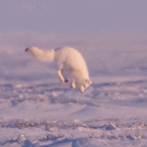 Meet your Posher, Elyria